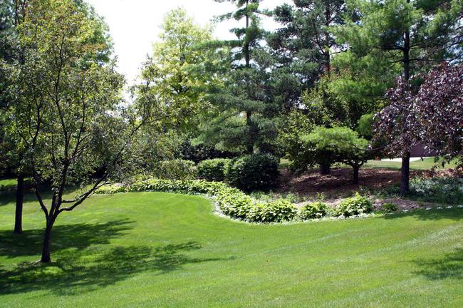 Nature Cove Condos, Ann Arbor Grounds
