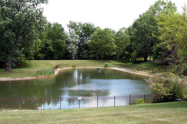 Nature Cove Condos, Ann Arbor Pond