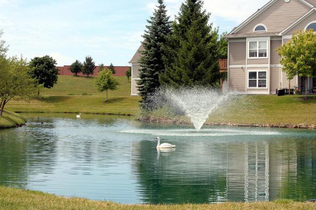 Weatherstone Pond & Fountain