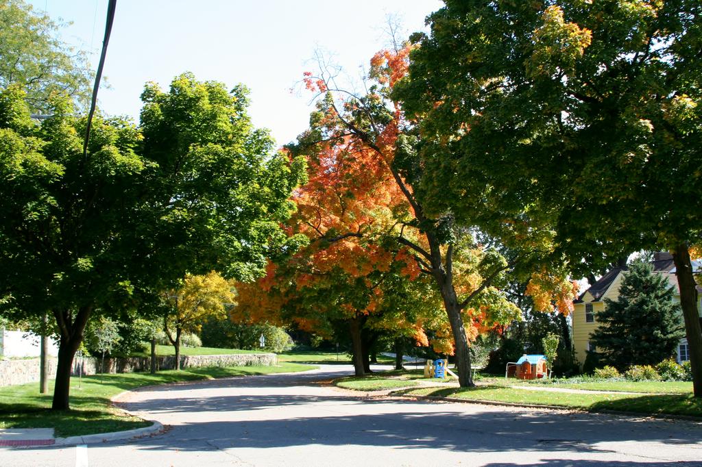 Burns Park, Ann Arbor Burns Park Real Estate Ann Arbor