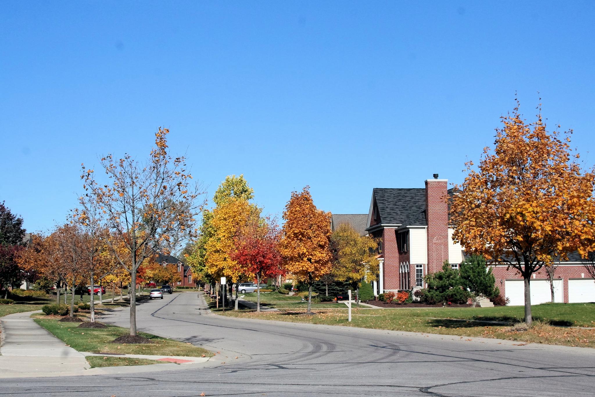 Vintage Valley Subdivision, Canton MI Upscale Neighborhood of